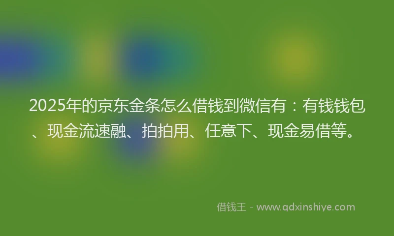 2025年的京东金条怎么借钱到微信有：有钱钱包、现金流速融、拍拍用、任意下、现金易借等。