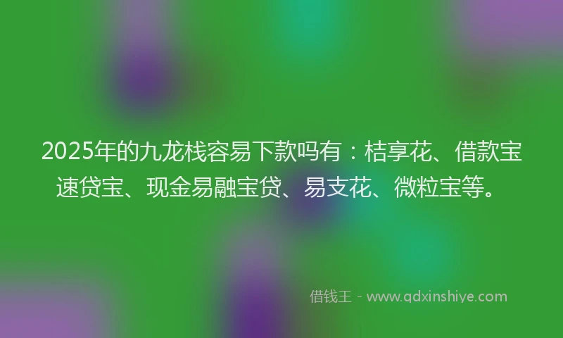 2025年的九龙栈容易下款吗有：桔享花、借款宝速贷宝、现金易融宝贷、易支花、微粒宝等。