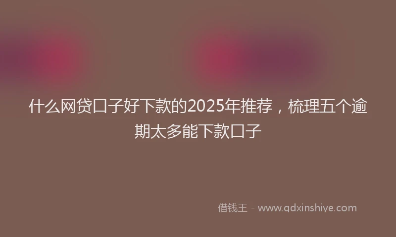 什么网贷口子好下款的2025年推荐,梳理五个逾期太多能下款口子