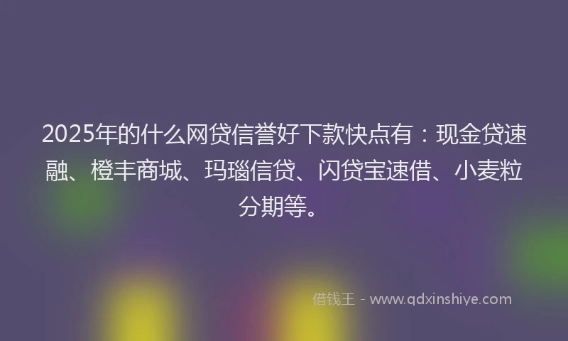 2025年的什么网贷信誉好下款快点有：现金贷速融、橙丰商城、玛瑙信贷、闪贷宝速借、小麦粒分期等。