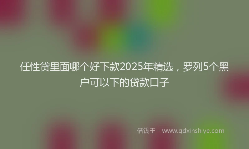 任性贷里面哪个好下款2025年精选，罗列5个黑户可以下的贷款口子