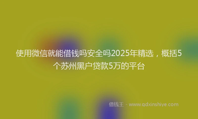 使用微信就能借钱吗安全吗2025年精选，概括5个苏州黑户贷款5万的平台