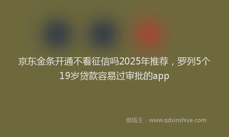 京东金条开通不看征信吗2025年推荐，罗列5个19岁贷款容易过审批的app