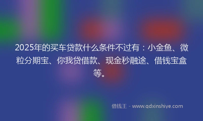 2025年的买车贷款什么条件不过有：小金鱼、微粒分期宝、你我贷借款、现金秒融途、借钱宝盒等。