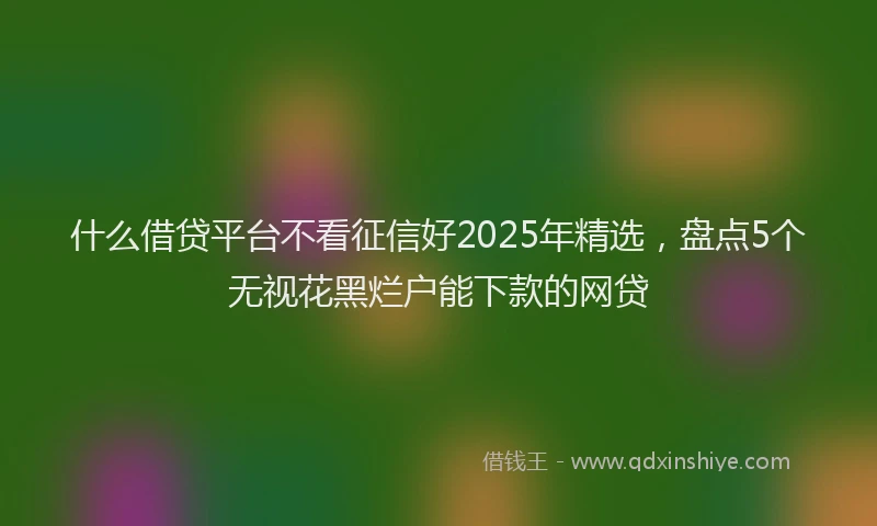 什么借贷平台不看征信好2025年精选，盘点5个无视花黑烂户能下款的网贷