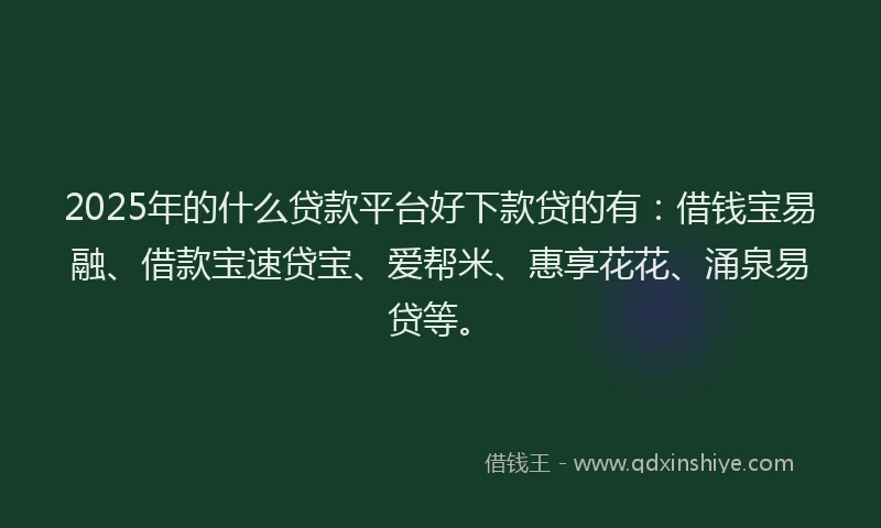 2025年的什么贷款平台好下款贷的有：借钱宝易融、借款宝速贷宝、爱帮米、惠享花花、涌泉易贷等。