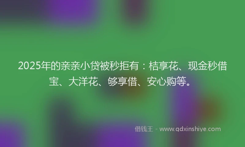 2025年的亲亲小贷被秒拒有：桔享花、现金秒借宝、大洋花、够享借、安心购等。
