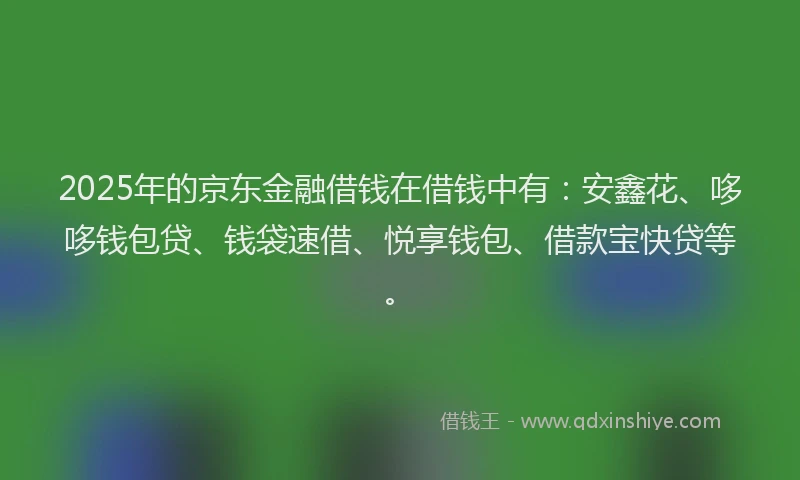 2025年的京东金融借钱在借钱中有：安鑫花、哆哆钱包贷、钱袋速借、悦享钱包、借款宝快贷等。