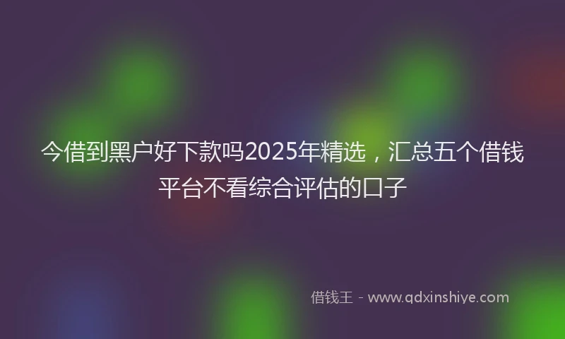 今借到黑户好下款吗2025年精选，汇总五个借钱平台不看综合评估的口子