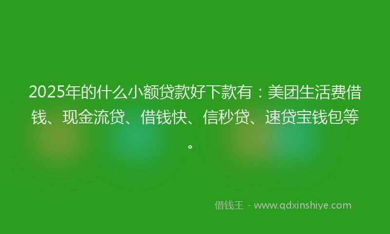 2025年的什么小额贷款好下款有:美团生活费借钱、现金流贷、借钱快、信秒贷、速贷宝钱包等。