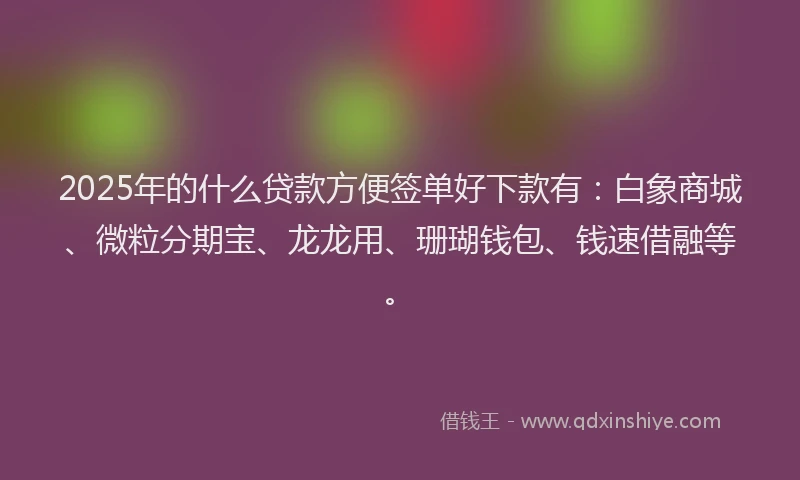 2025年的什么贷款方便签单好下款有：白象商城、微粒分期宝、龙龙用、珊瑚钱包、钱速借融等。