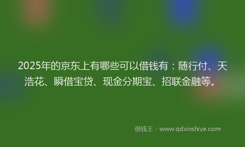 2025年的京东上有哪些可以借钱有：随行付、天浩花、瞬借宝贷、现金分期宝、招联金融等。