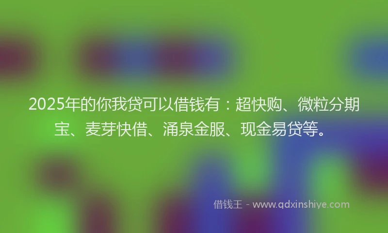 2025年的你我贷可以借钱有：超快购、微粒分期宝、麦芽快借、涌泉金服、现金易贷等。