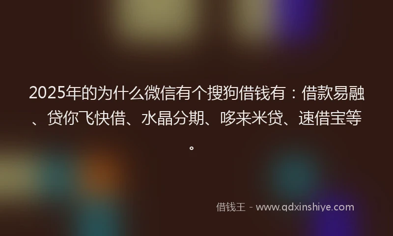 2025年的为什么微信有个搜狗借钱有：借款易融、贷你飞快借、水晶分期、哆来米贷、速借宝等。