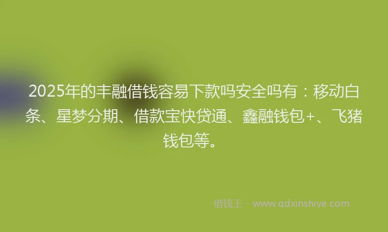 2025年的丰融借钱容易下款吗安全吗有:移动白条、星梦分期、借款宝快贷通、鑫融钱包+、飞猪钱包等。