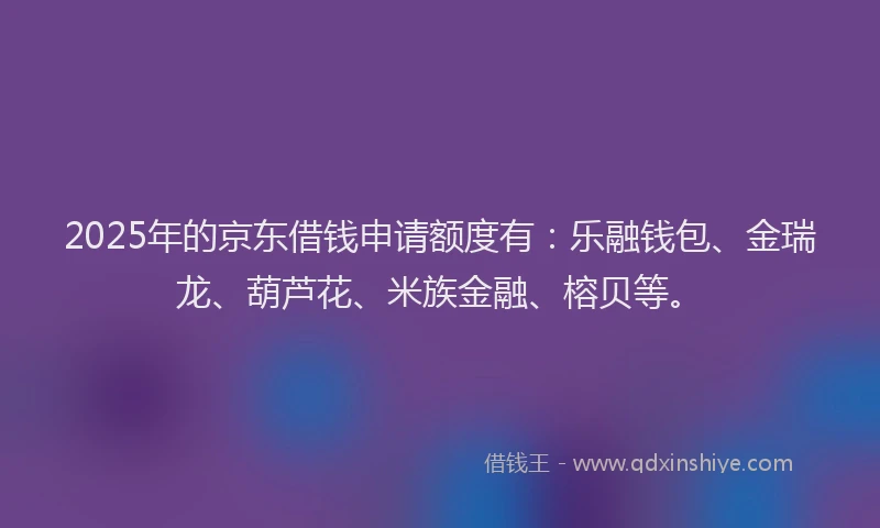 2025年的京东借钱申请额度有：乐融钱包、金瑞龙、葫芦花、米族金融、榕贝等。