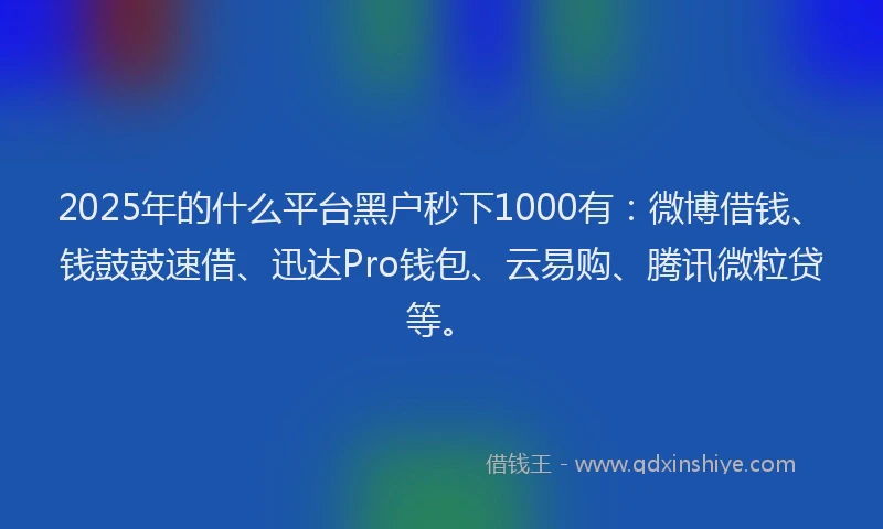 2025年的什么平台黑户秒下1000有：微博借钱、钱鼓鼓速借、迅达Pro钱包、云易购、腾讯微粒贷等。
