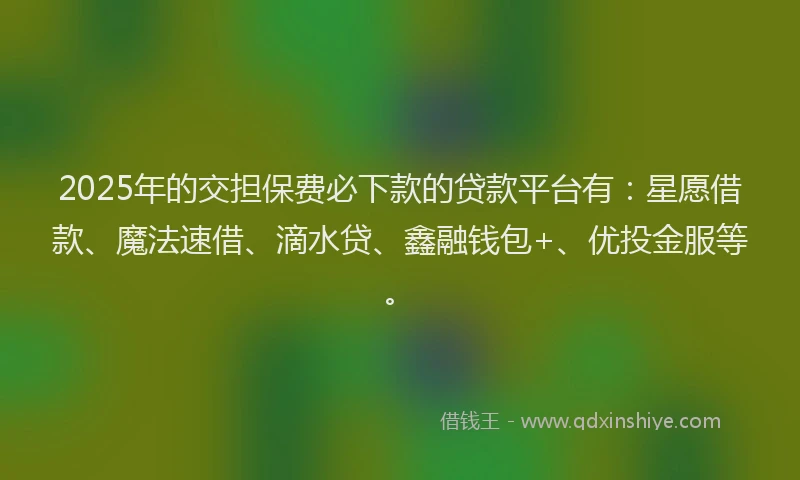 2025年的交担保费必下款的贷款平台有：星愿借款、魔法速借、滴水贷、鑫融钱包+、优投金服等。