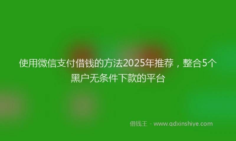 使用微信支付借钱的方法2025年推荐，整合5个黑户无条件下款的平台
