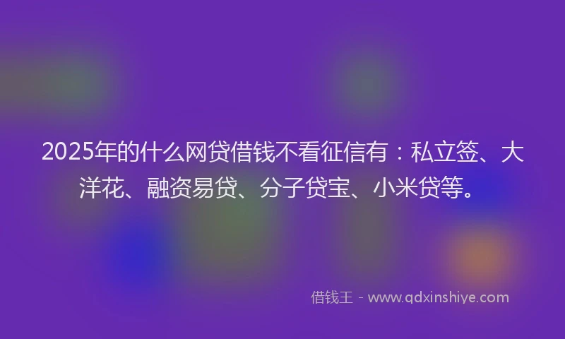 2025年的什么网贷借钱不看征信有：私立签、大洋花、融资易贷、分子贷宝、小米贷等。