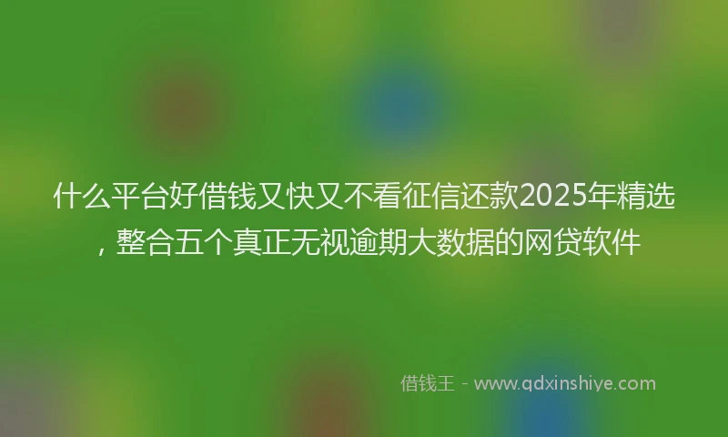 什么平台好借钱又快又不看征信还款2025年精选，整合五个真正无视逾期大数据的网贷软件