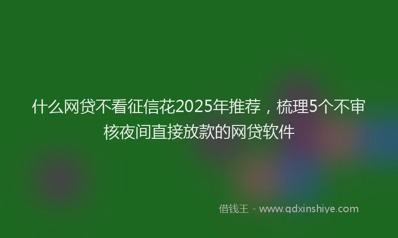 什么网贷不看征信花2025年推荐，梳理5个不审核夜间直接放款的网贷软件