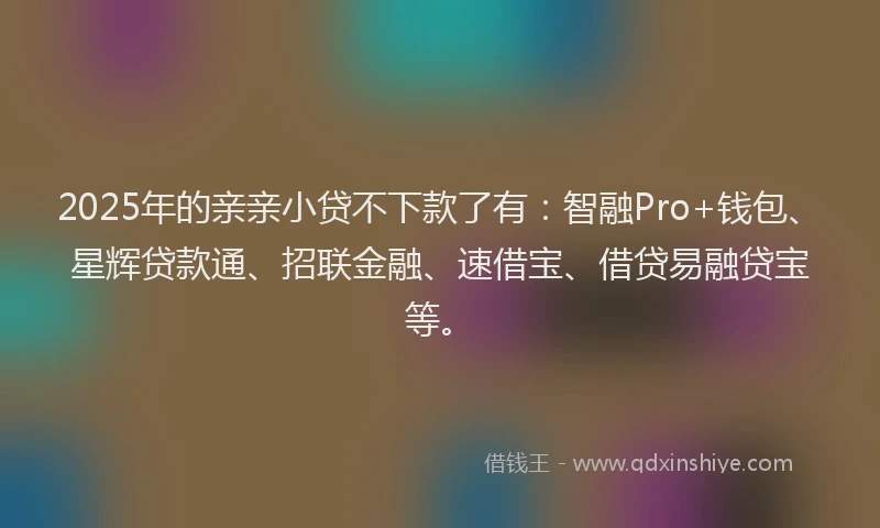 2025年的亲亲小贷不下款了有：智融Pro+钱包、星辉贷款通、招联金融、速借宝、借贷易融贷宝等。