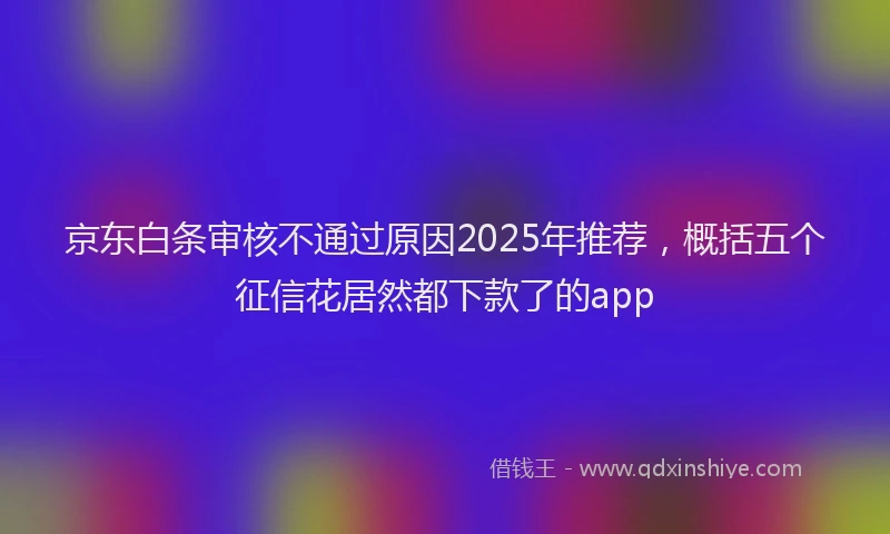 京东白条审核不通过原因2025年推荐，概括五个征信花居然都下款了的app
