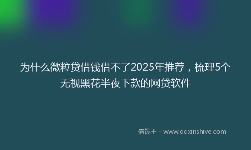 为什么微粒贷借钱借不了2025年推荐，梳理5个无视黑花半夜下款的网贷软件