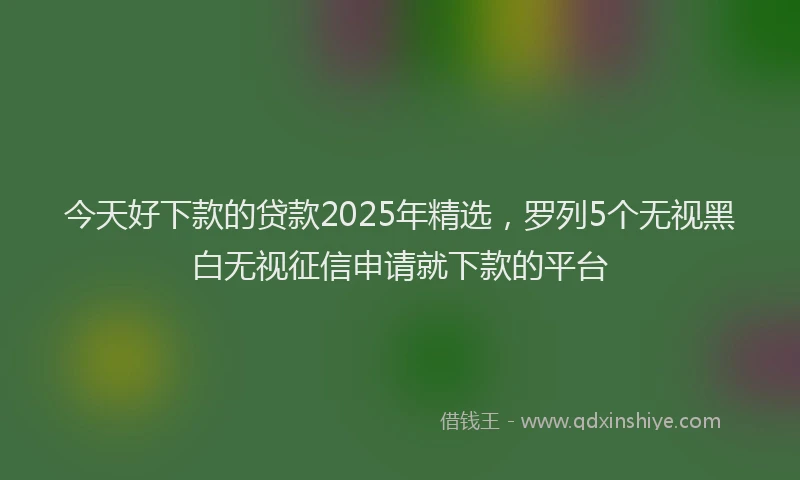 今天好下款的贷款2025年精选，罗列5个无视黑白无视征信申请就下款的平台