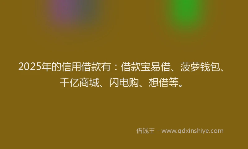 2025年的信用借款有：借款宝易借、菠萝钱包、千亿商城、闪电购、想借等。