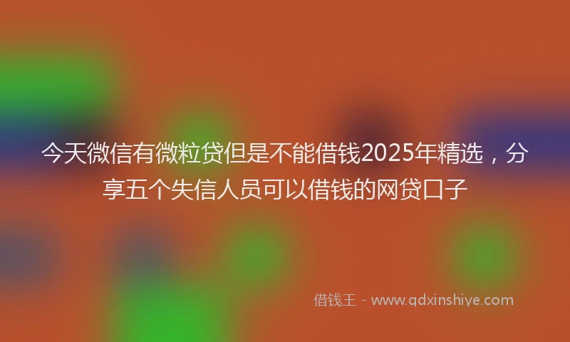今天微信有微粒贷但是不能借钱2025年精选，分享五个失信人员可以借钱的网贷口子