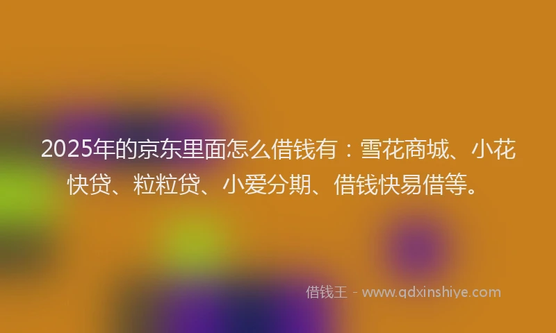 2025年的京东里面怎么借钱有:雪花商城、小花快贷、粒粒贷、小爱分期、借钱快易借等。