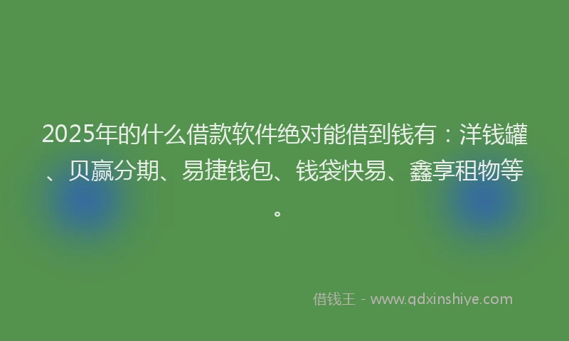 2025年的什么借款软件绝对能借到钱有：洋钱罐、贝赢分期、易捷钱包、钱袋快易、鑫享租物等。