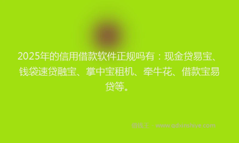 2025年的信用借款软件正规吗有：现金贷易宝、钱袋速贷融宝、掌中宝租机、牵牛花、借款宝易贷等。