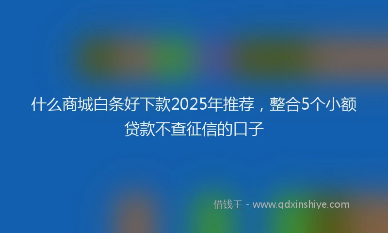 什么商城白条好下款2025年推荐,整合5个小额贷款不查征信的口子