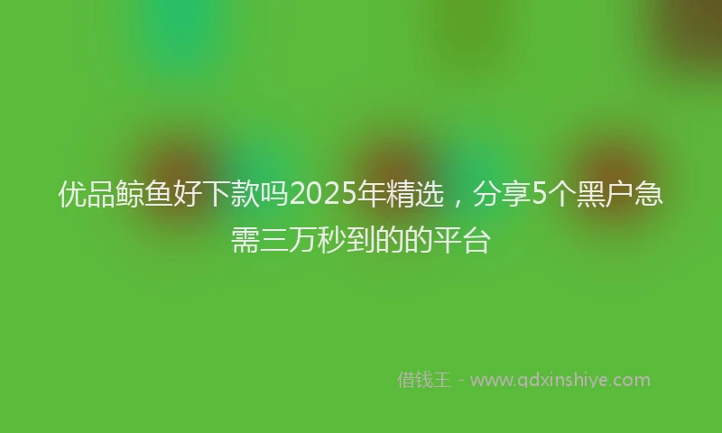 优品鲸鱼好下款吗2025年精选，分享5个黑户急需三万秒到的的平台