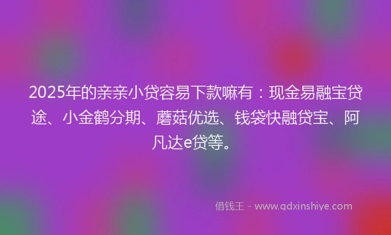 2025年的亲亲小贷容易下款嘛有：现金易融宝贷途、小金鹤分期、蘑菇优选、钱袋快融贷宝、阿凡达e贷等。