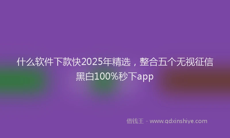 什么软件下款快2025年精选,整合五个无视征信黑白100%秒下app