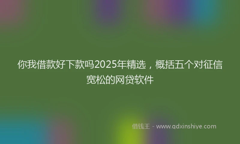 你我借款好下款吗2025年精选，概括五个对征信宽松的网贷软件