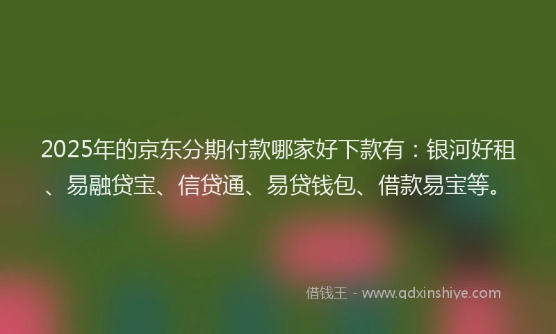 2025年的京东分期付款哪家好下款有：银河好租、易融贷宝、信贷通、易贷钱包、借款易宝等。
