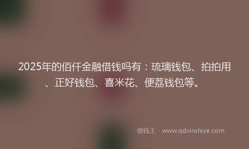 2025年的佰仟金融借钱吗有：琉璃钱包、拍拍用、正好钱包、喜米花、便荔钱包等。
