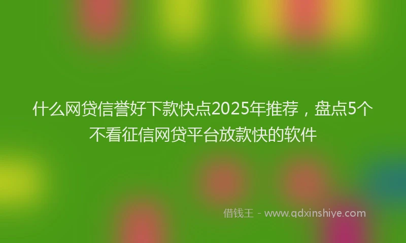 什么网贷信誉好下款快点2025年推荐，盘点5个不看征信网贷平台放款快的软件