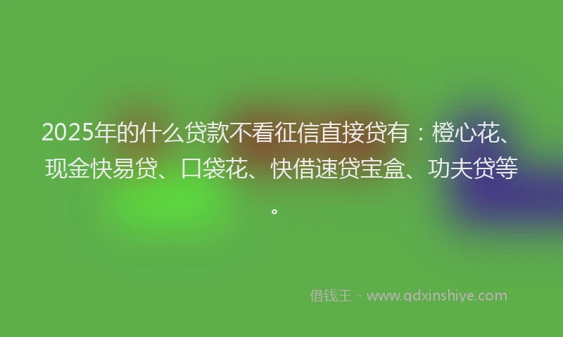 2025年的什么贷款不看征信直接贷有：橙心花、现金快易贷、口袋花、快借速贷宝盒、功夫贷等。