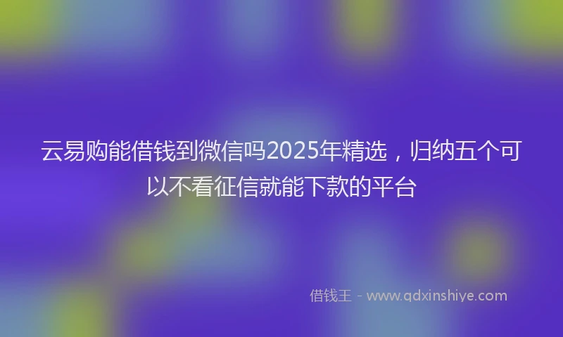 云易购能借钱到微信吗2025年精选，归纳五个可以不看征信就能下款的平台