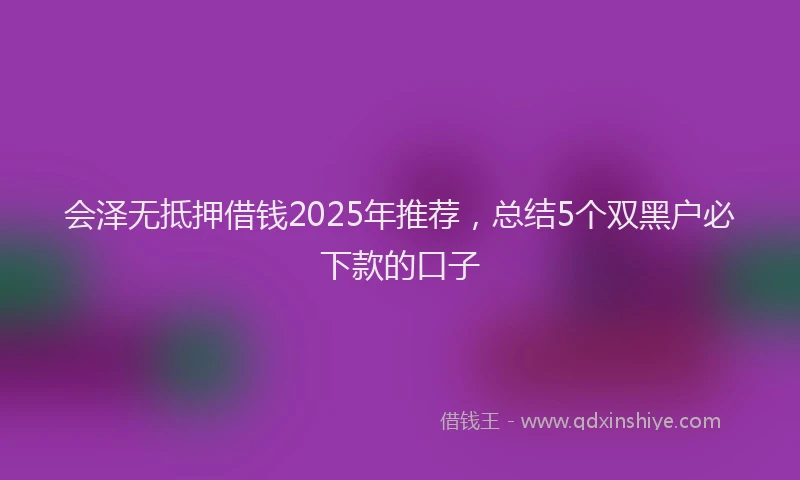 会泽无抵押借钱2025年推荐，总结5个双黑户必下款的口子