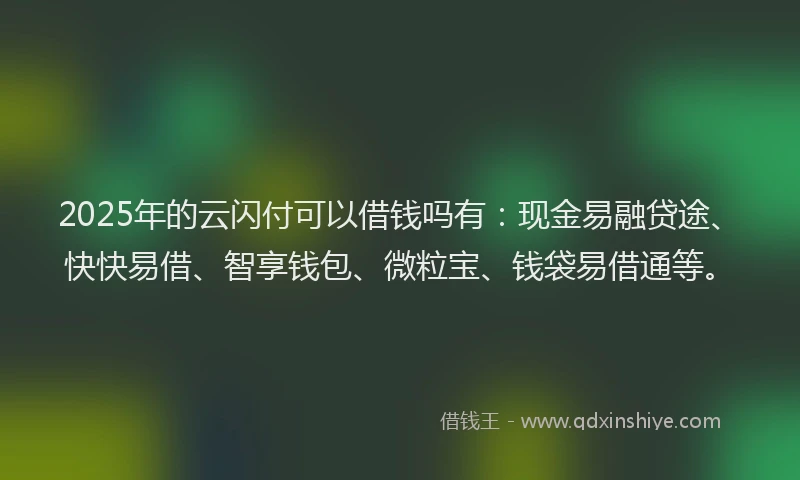 2025年的云闪付可以借钱吗有：现金易融贷途、快快易借、智享钱包、微粒宝、钱袋易借通等。