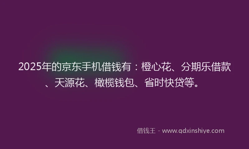 2025年的京东手机借钱有：橙心花、分期乐借款、天源花、橄榄钱包、省时快贷等。