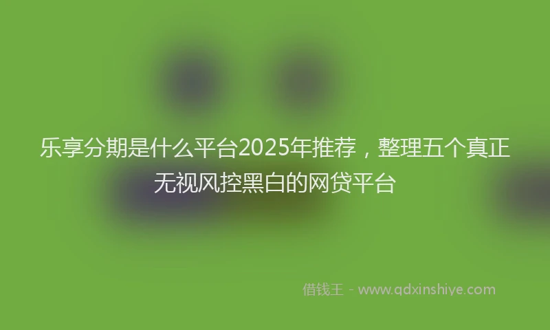 乐享分期是什么平台2025年推荐，整理五个真正无视风控黑白的网贷平台