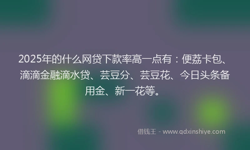 2025年的什么网贷下款率高一点有：便荔卡包、滴滴金融滴水贷、芸豆分、芸豆花、今日头条备用金、新一花等。